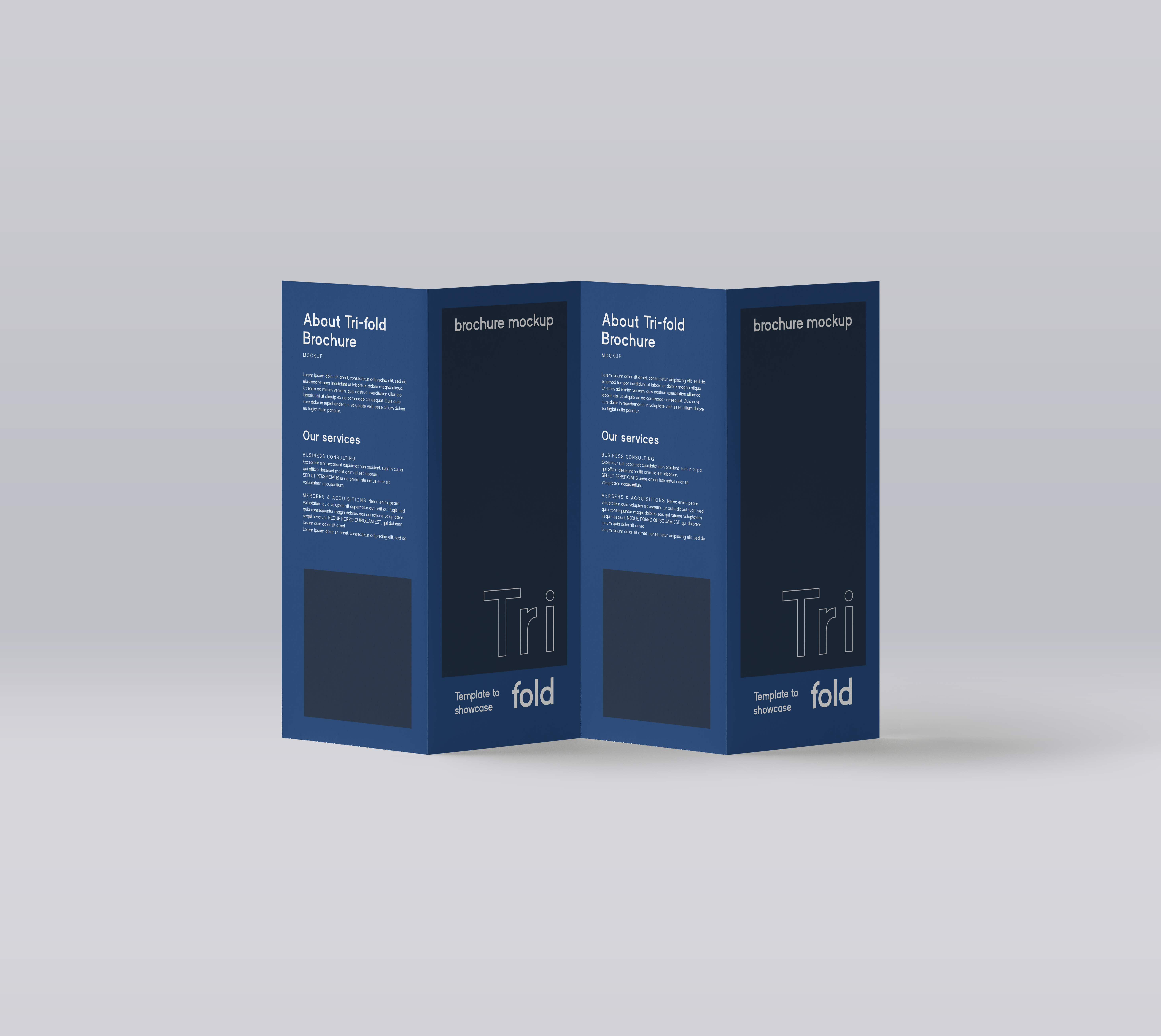 蛇腹折りパンフレット（アコーディオン折り）サンプル画像